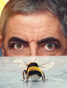 Včela na mušce 1. série 4. epizóda (S01E04) – 4. díl