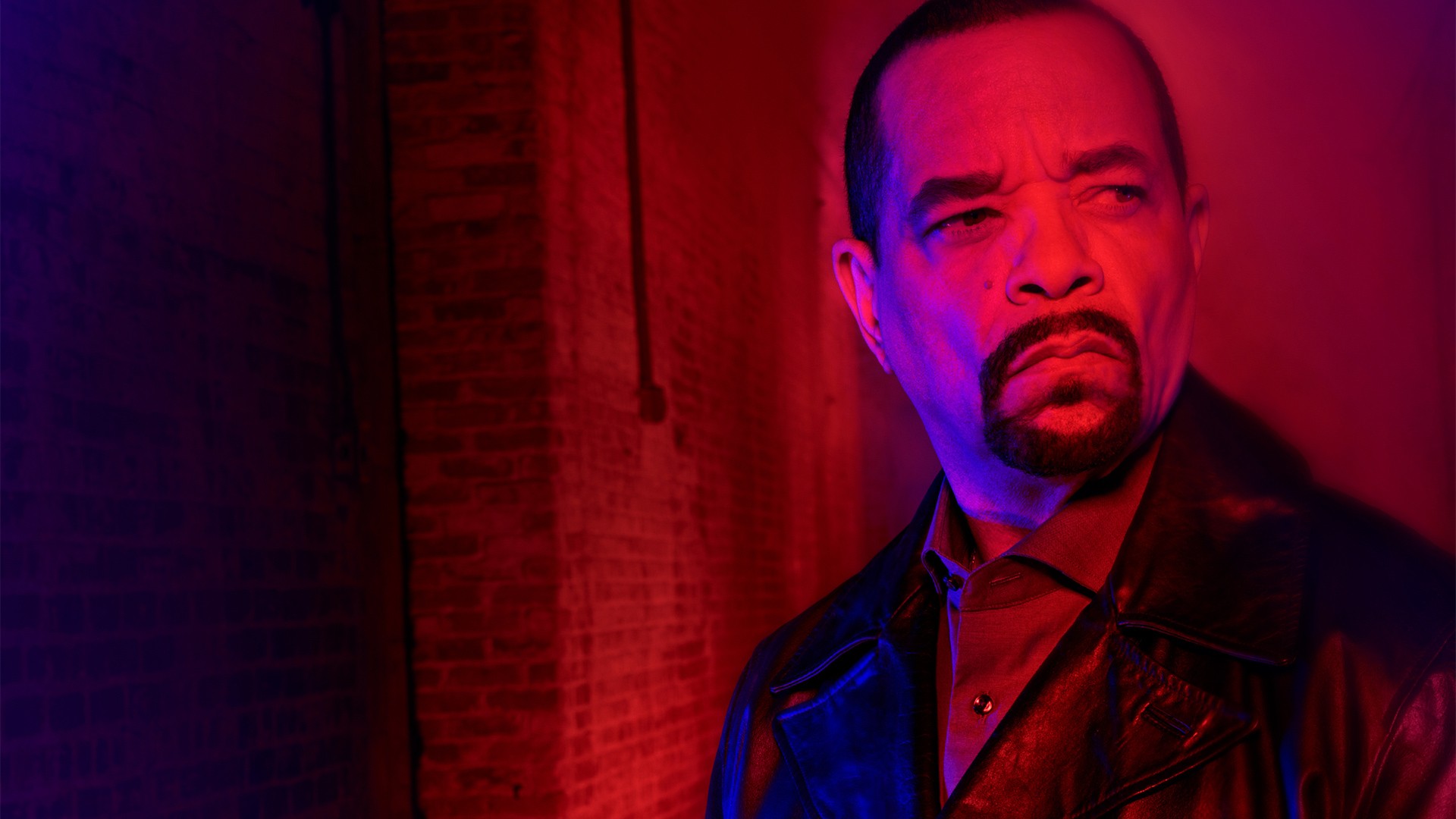 S chladom zabijaka 1. séria 21. epizóda (S01E21) – 21. diel